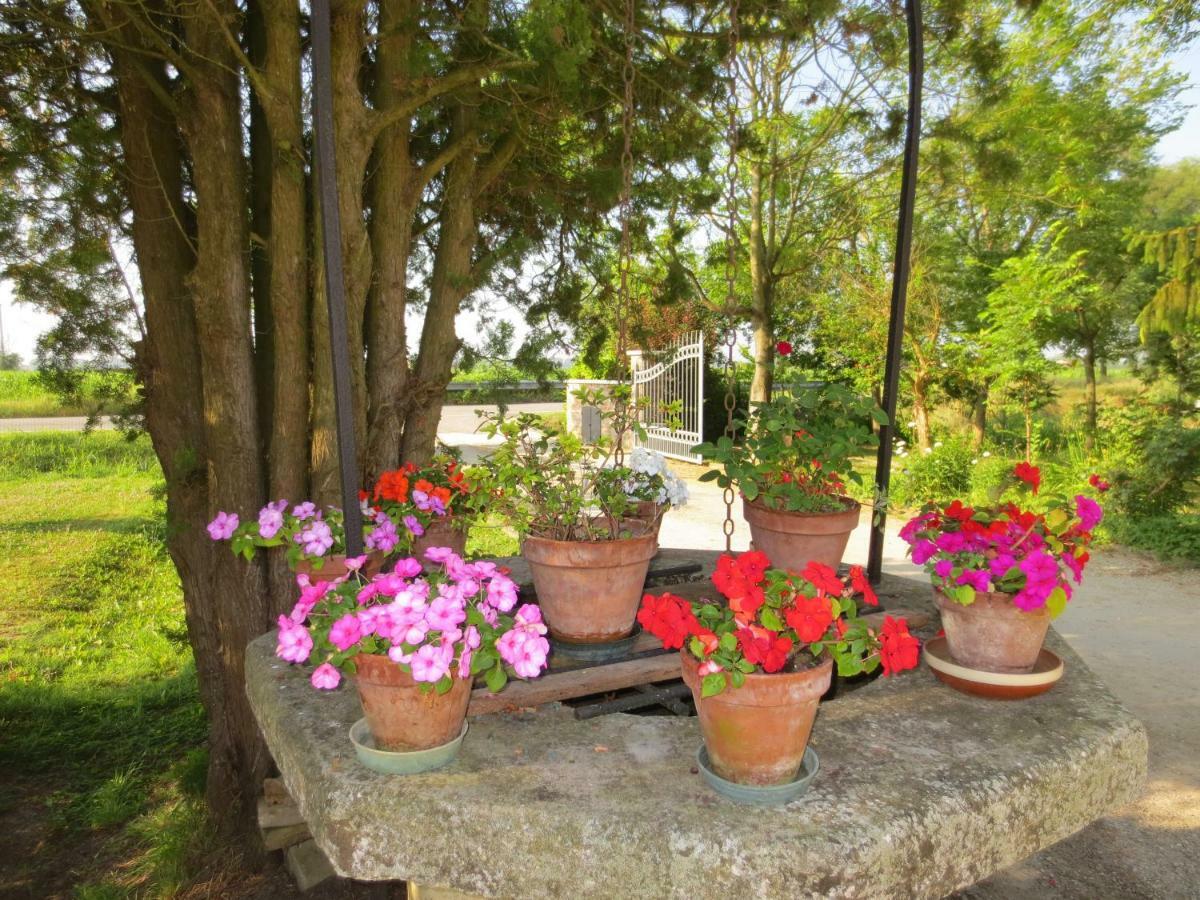 Borgo Tarapino Hotel Ferrara Ngoại thất bức ảnh